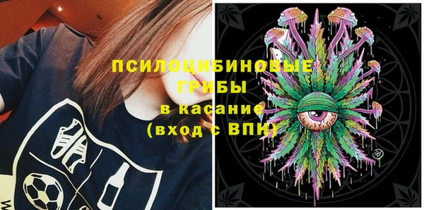 прущий лед Вязьма