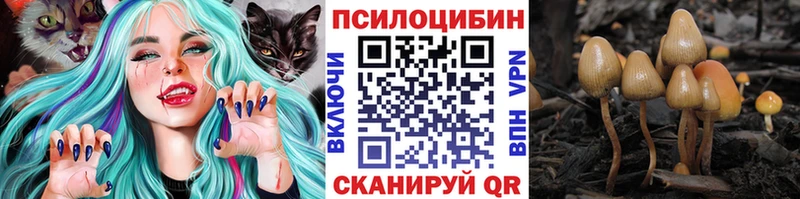 Галлюциногенные грибы Psilocybine cubensis  Купить  Курчатов 